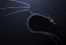 Kali Linux Hacks and Tricks
