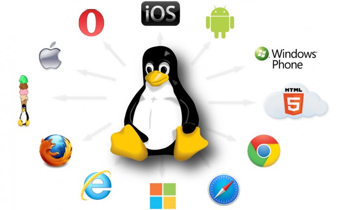 Best Hacking Tools for Linux