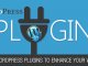 Top 10 WordPress Plugins